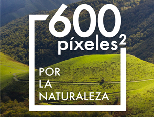 Más de 1.300 fotos durante ‘600 píxeles2 por la naturaleza
