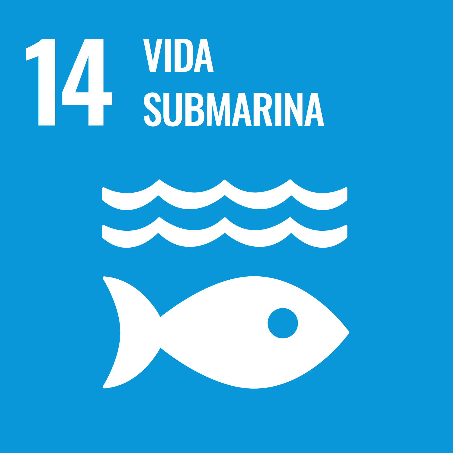 ODS 14</p>
<h5>Vida submarina</h5>
<p>