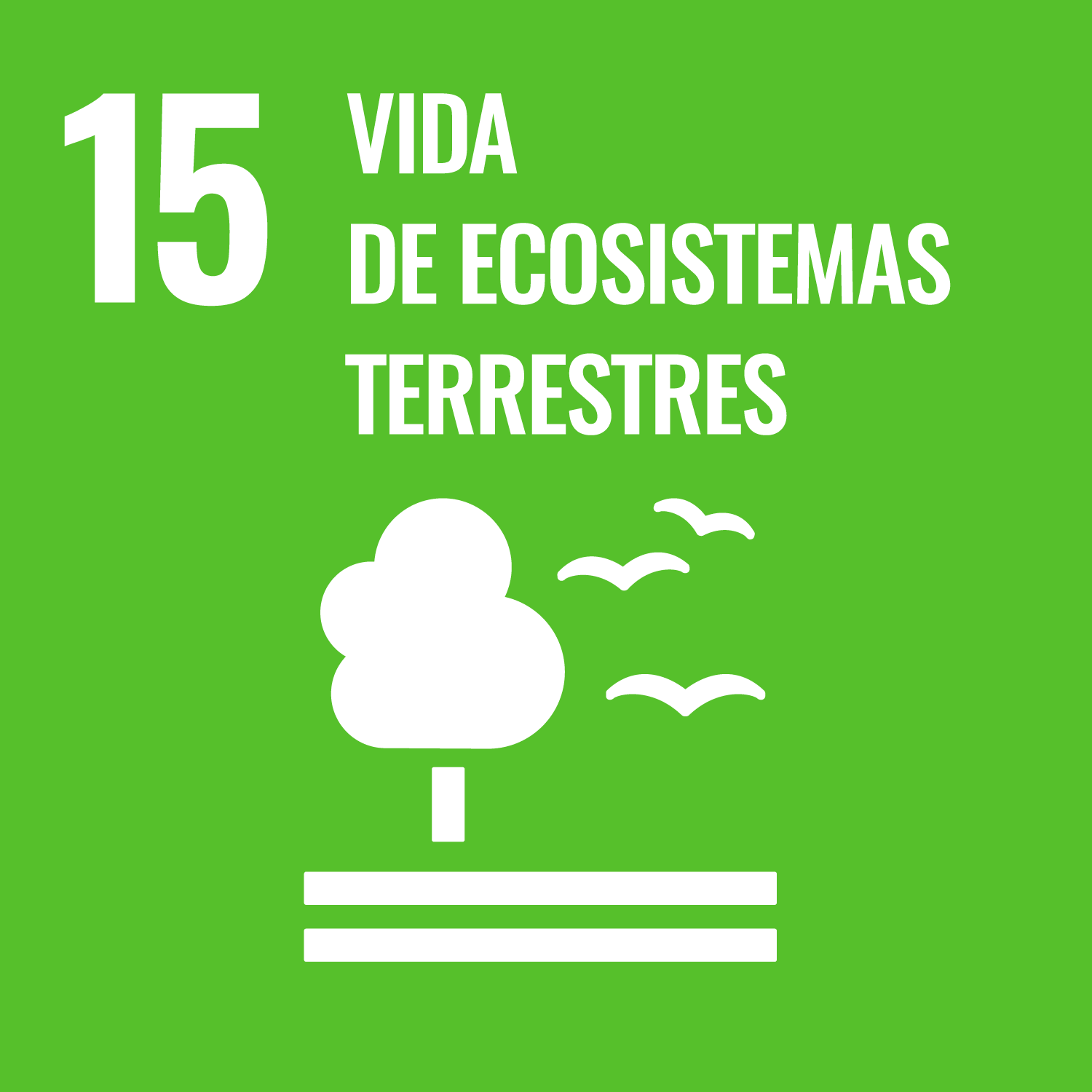 ODS 15</p>
<h5>Vida de ecosistemas terrestres</h5>
<p>