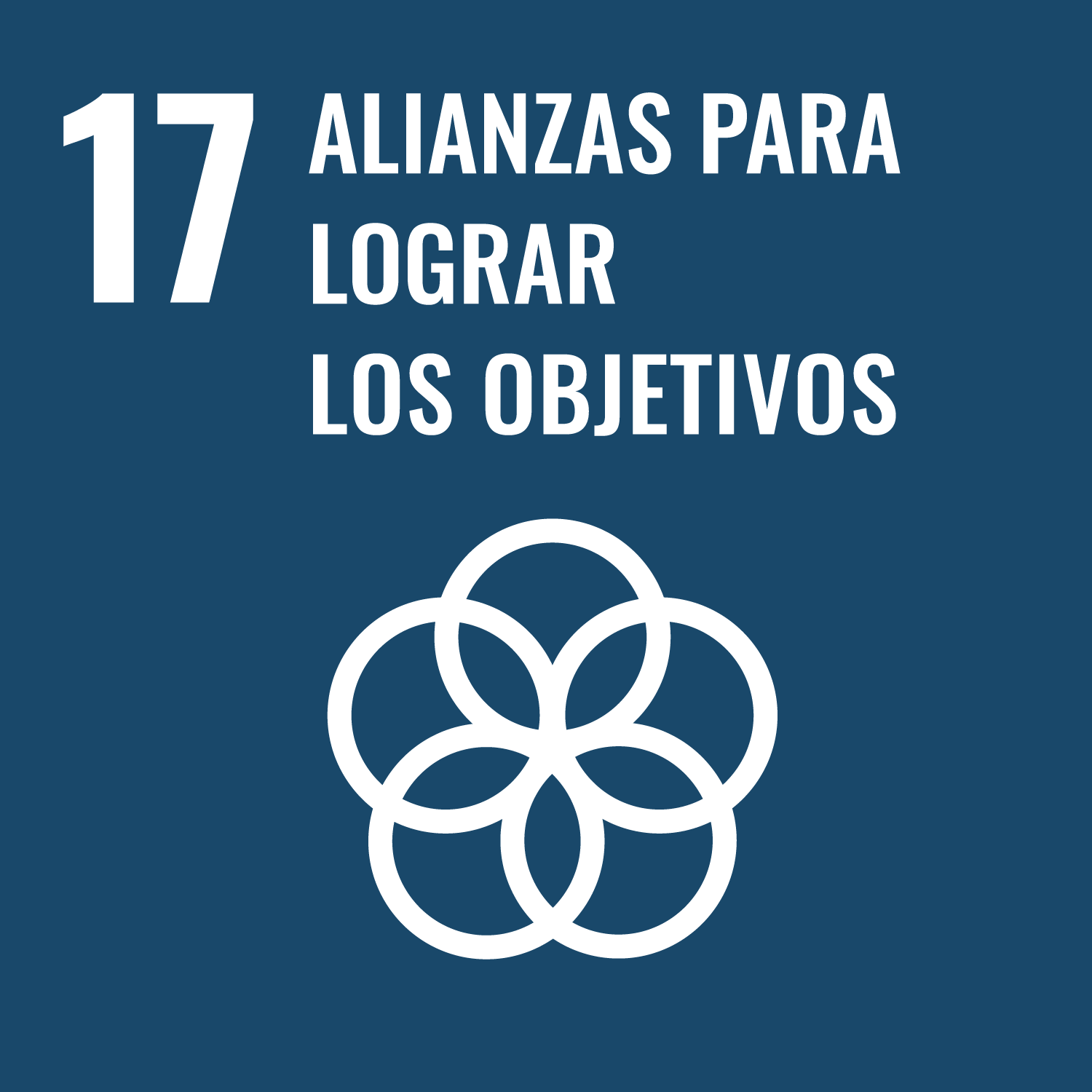 ODS 17</p>
<h5>Alianzas para lograr los objetivos</h5>
<p>