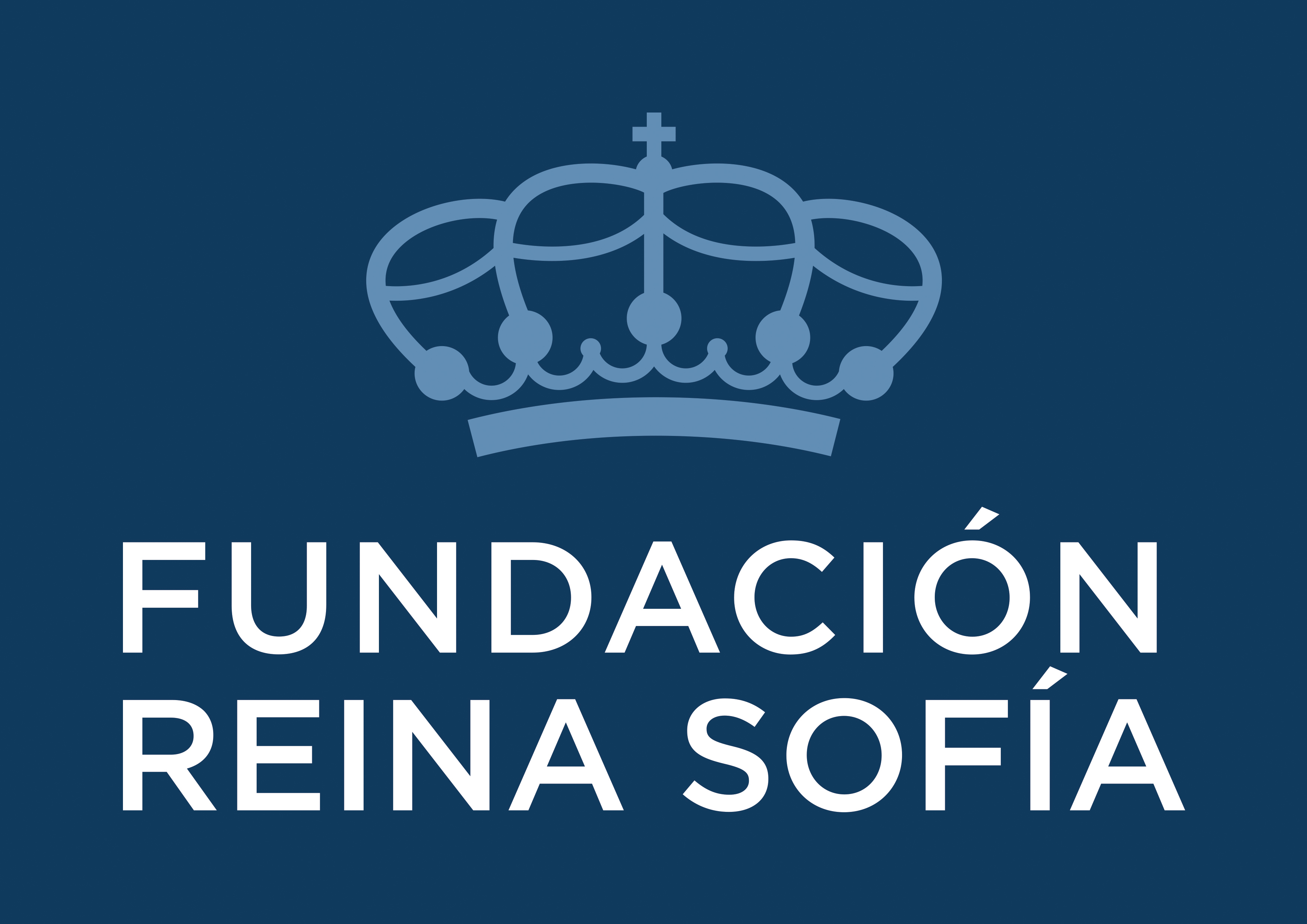 fundacion reina sofia