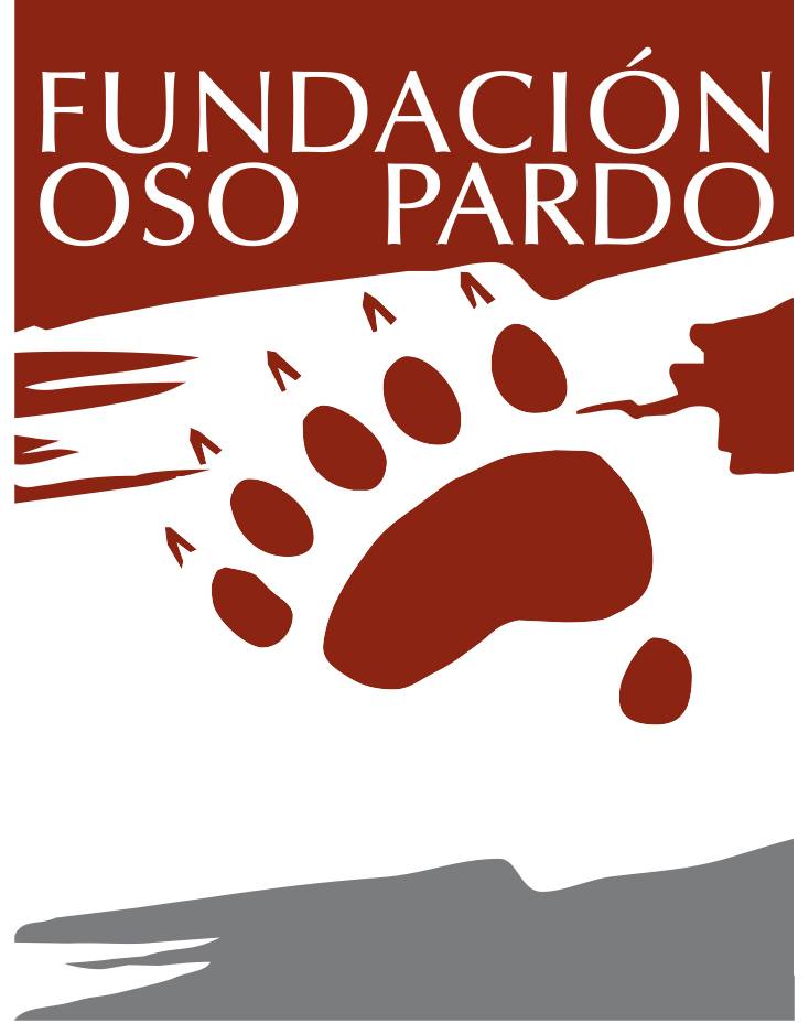 fundación oso pardo