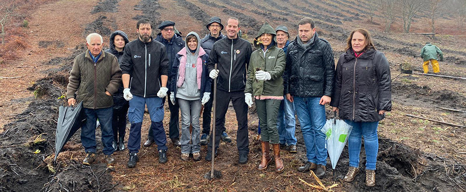 Gracias al compromiso de los EcoPeregrinos se plantan más de 600 árboles  autóctonos en Galicia | Ecoembes