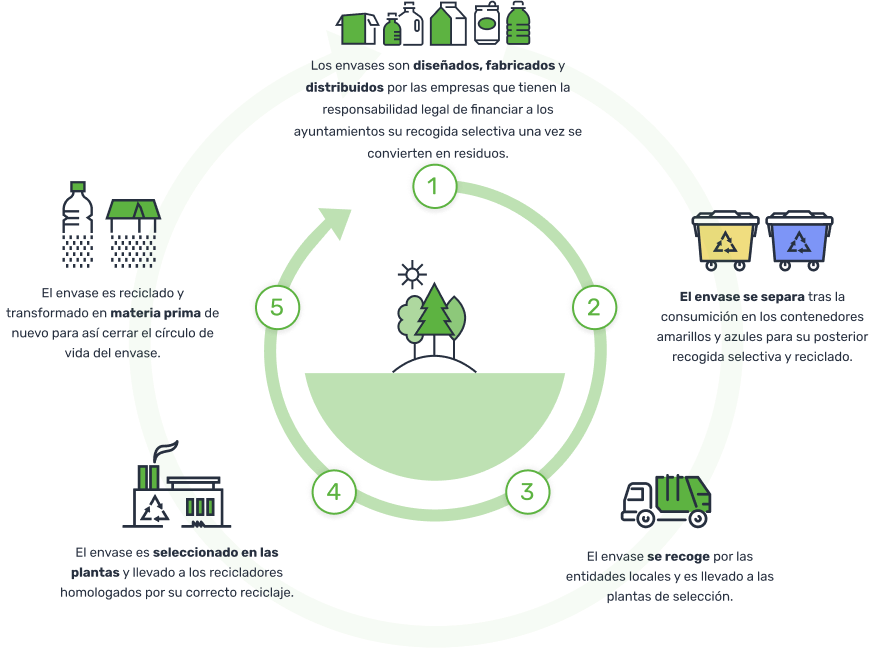 Educación escolar Delicioso Interactuar El ciclo del reciclaje | Ecoembes